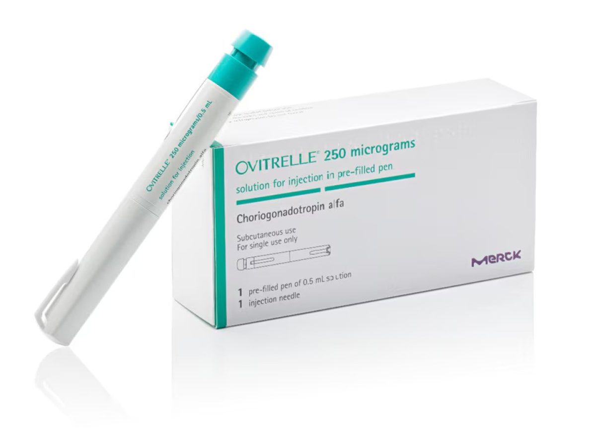 wT32HH1c7l6eQy0wWD2G